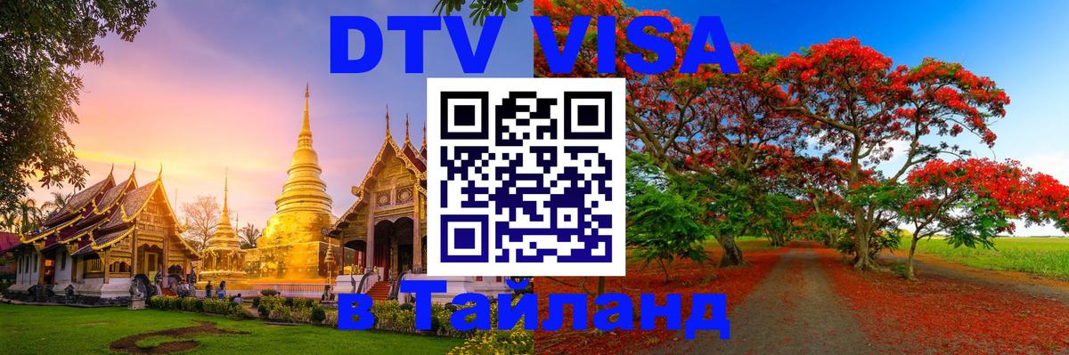 Оформление DTV визы под ключ: стоимость и тарифы, только загранпаспорт - Санкт-Петербург 