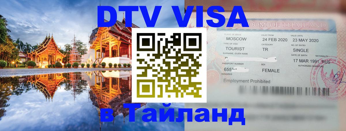 Оформление DTV визы под ключ: стоимость и тарифы, только загранпаспорт - Санкт-Петербург 
